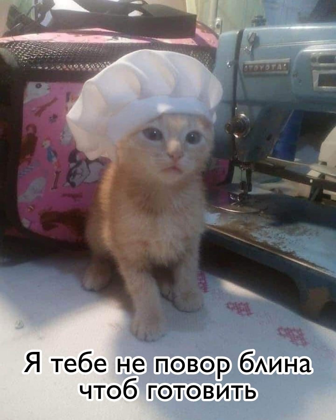 IMG_1577.jpeg