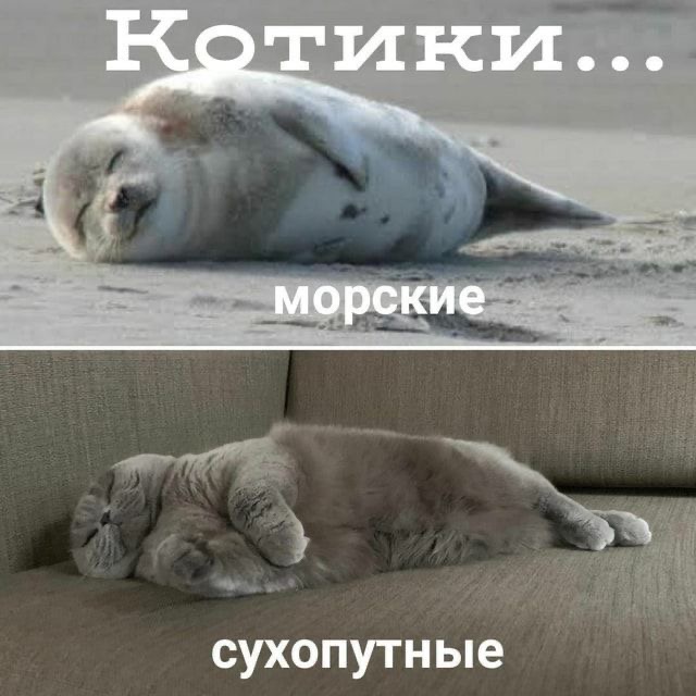 IMG_1594.jpeg