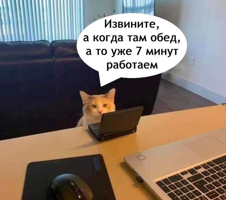 IMG_1639.jpeg