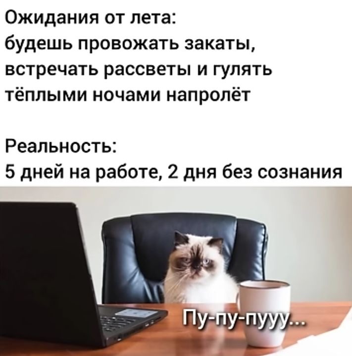 IMG_1640.jpeg