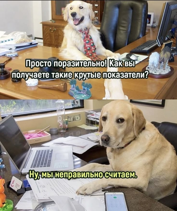 IMG_1641.jpeg