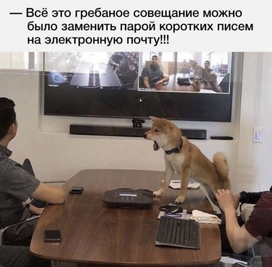 IMG_1642.jpeg