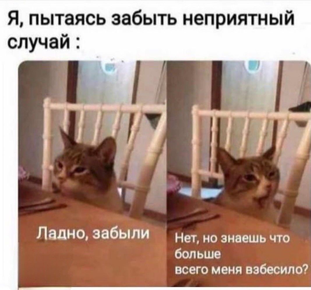 IMG_1655.jpeg