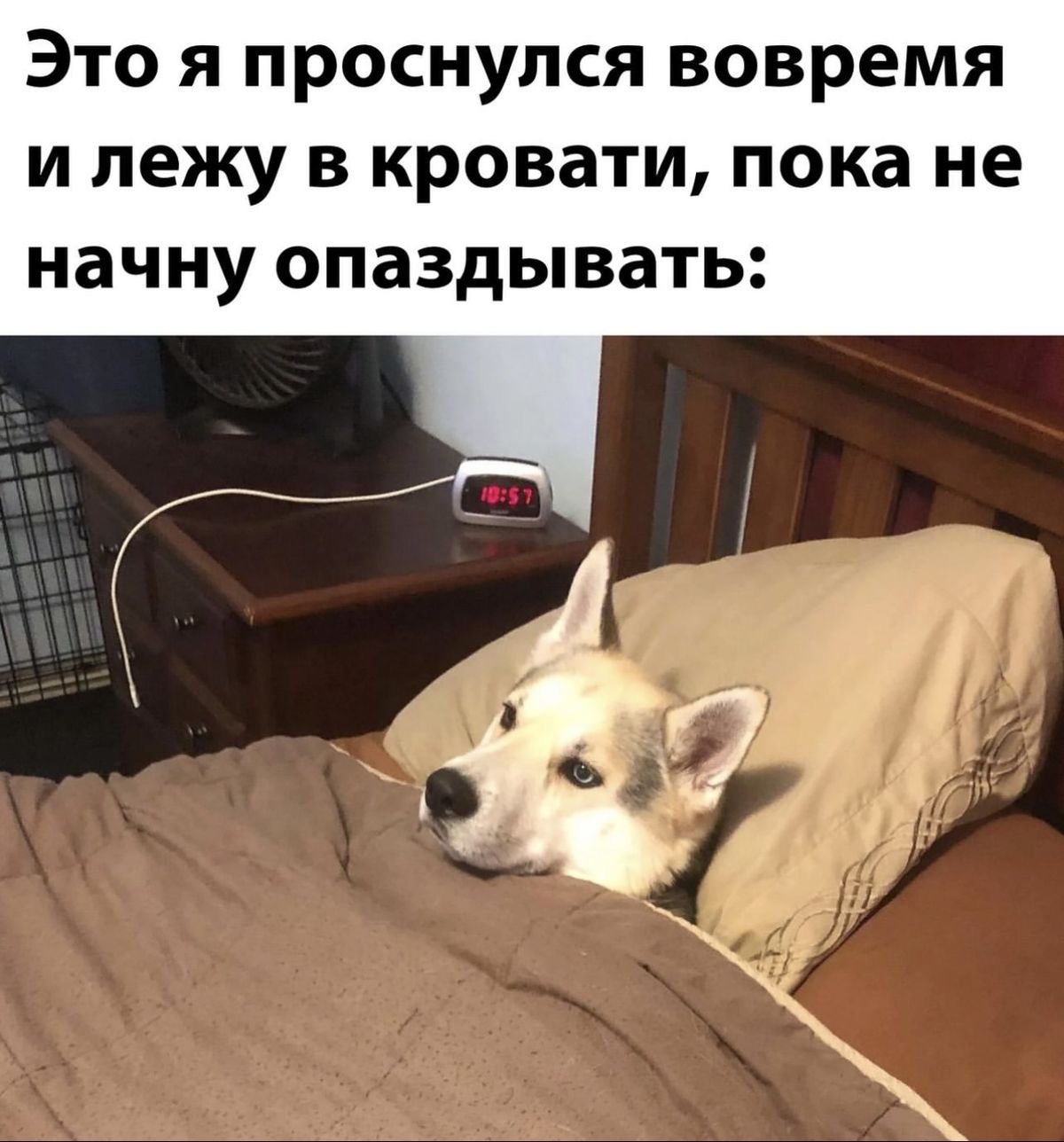 IMG_1656.jpeg