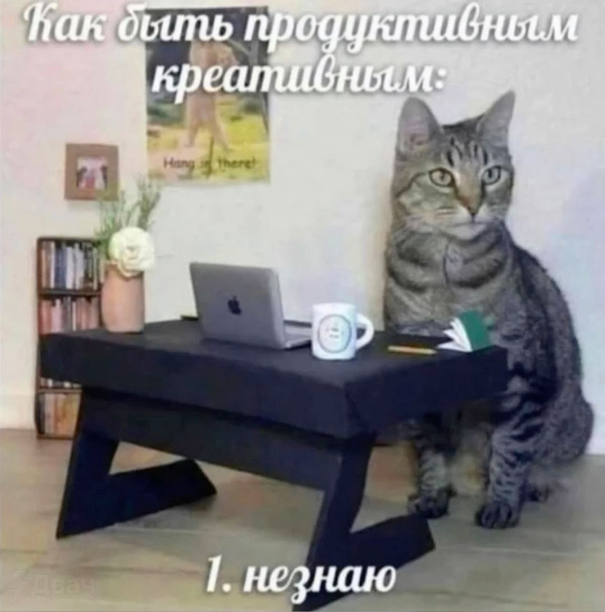 IMG_1688.jpeg