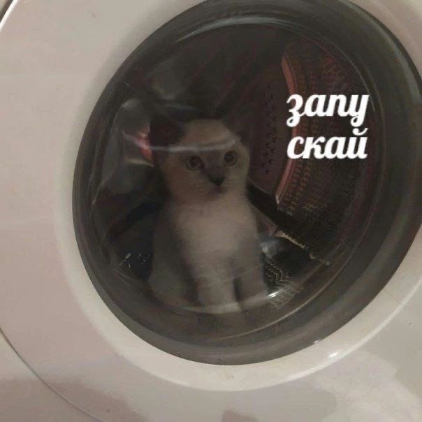 IMG_1691.jpeg