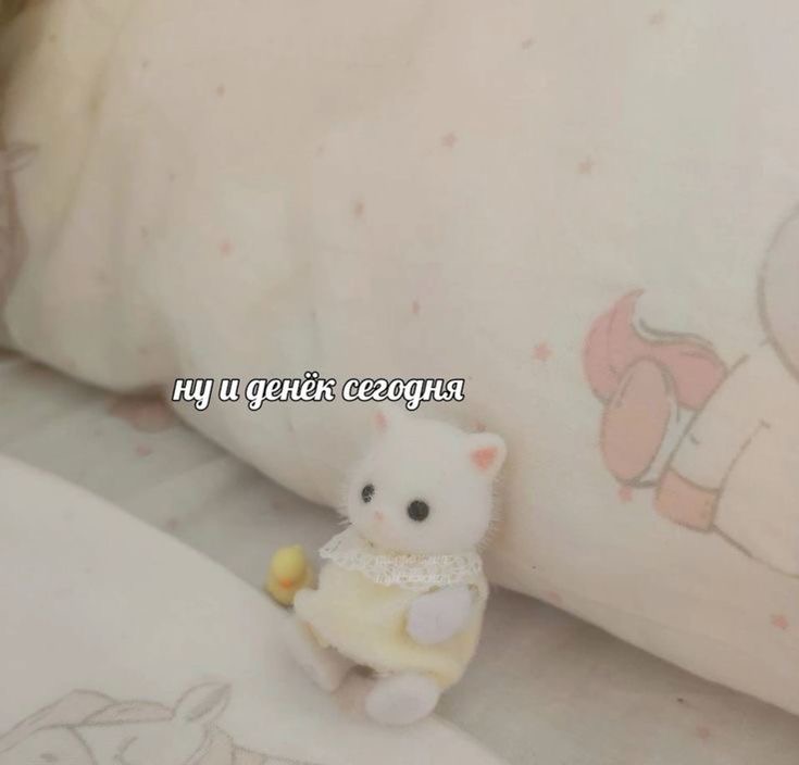 IMG_1698.jpeg