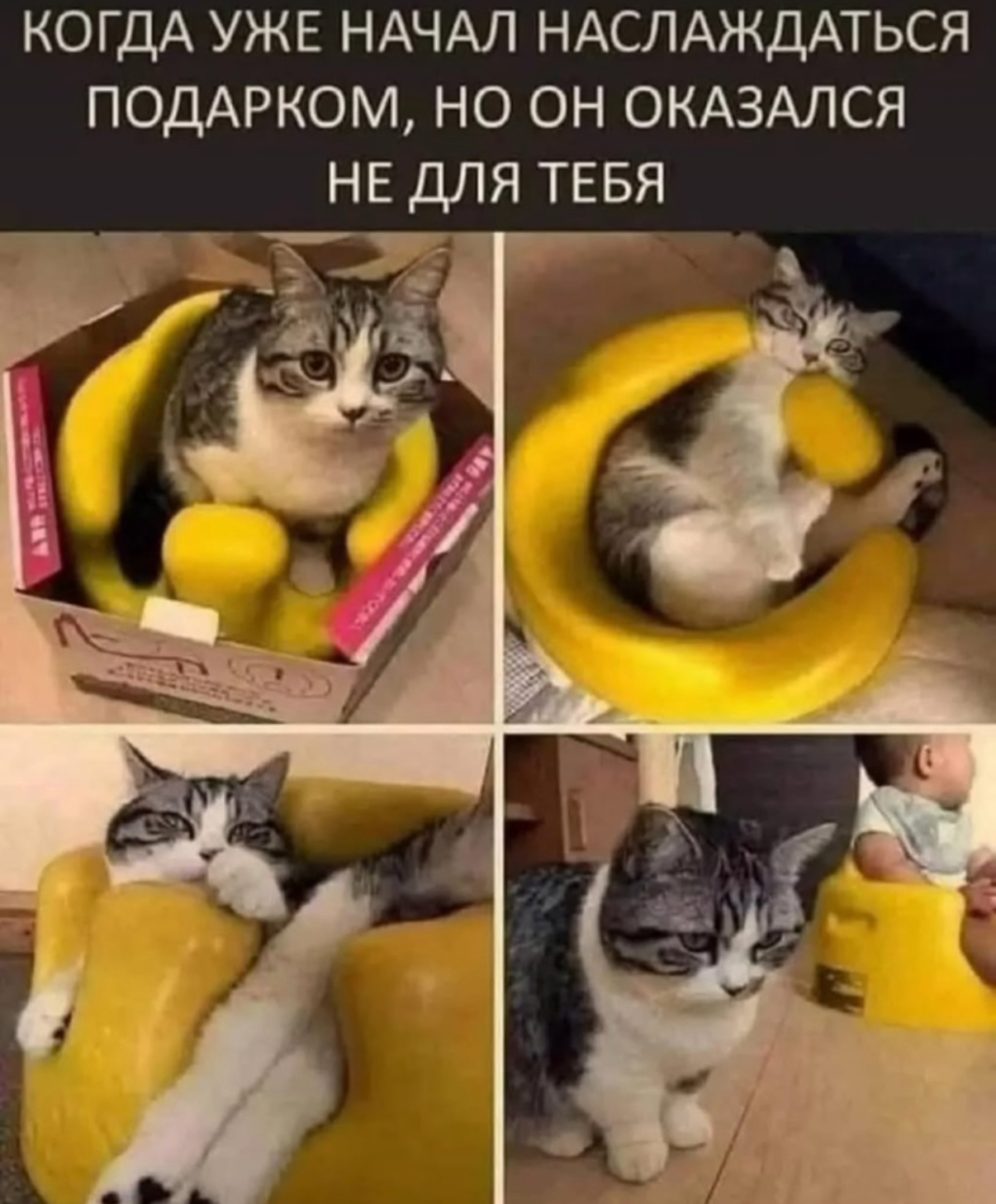 IMG_1745.jpeg