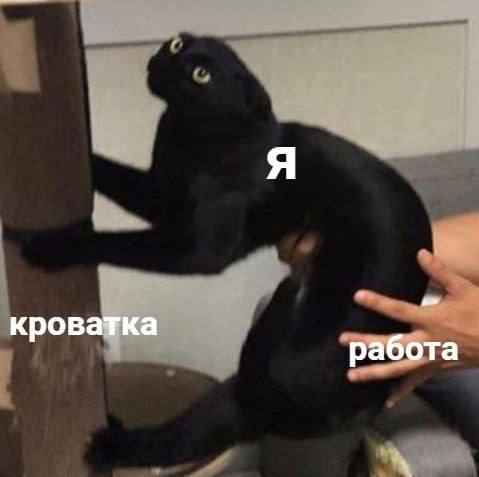 IMG_1860.jpeg