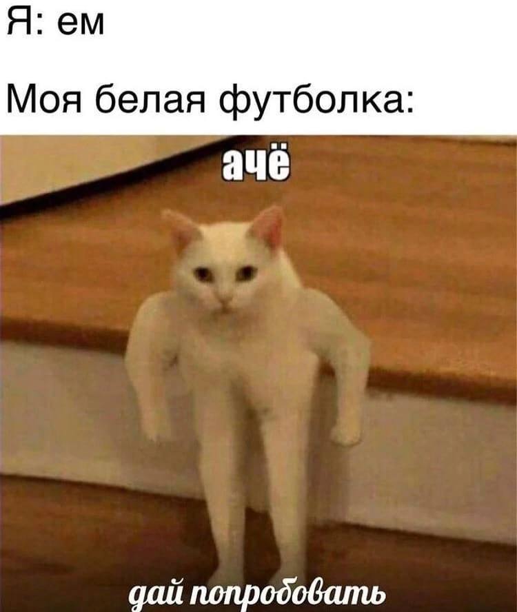 IMG_1862.jpeg