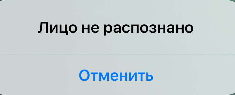 IMG_1865.jpeg