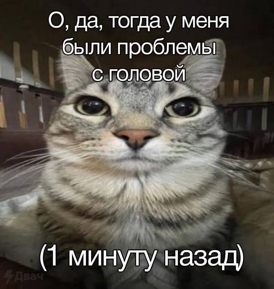 IMG_1868.jpeg