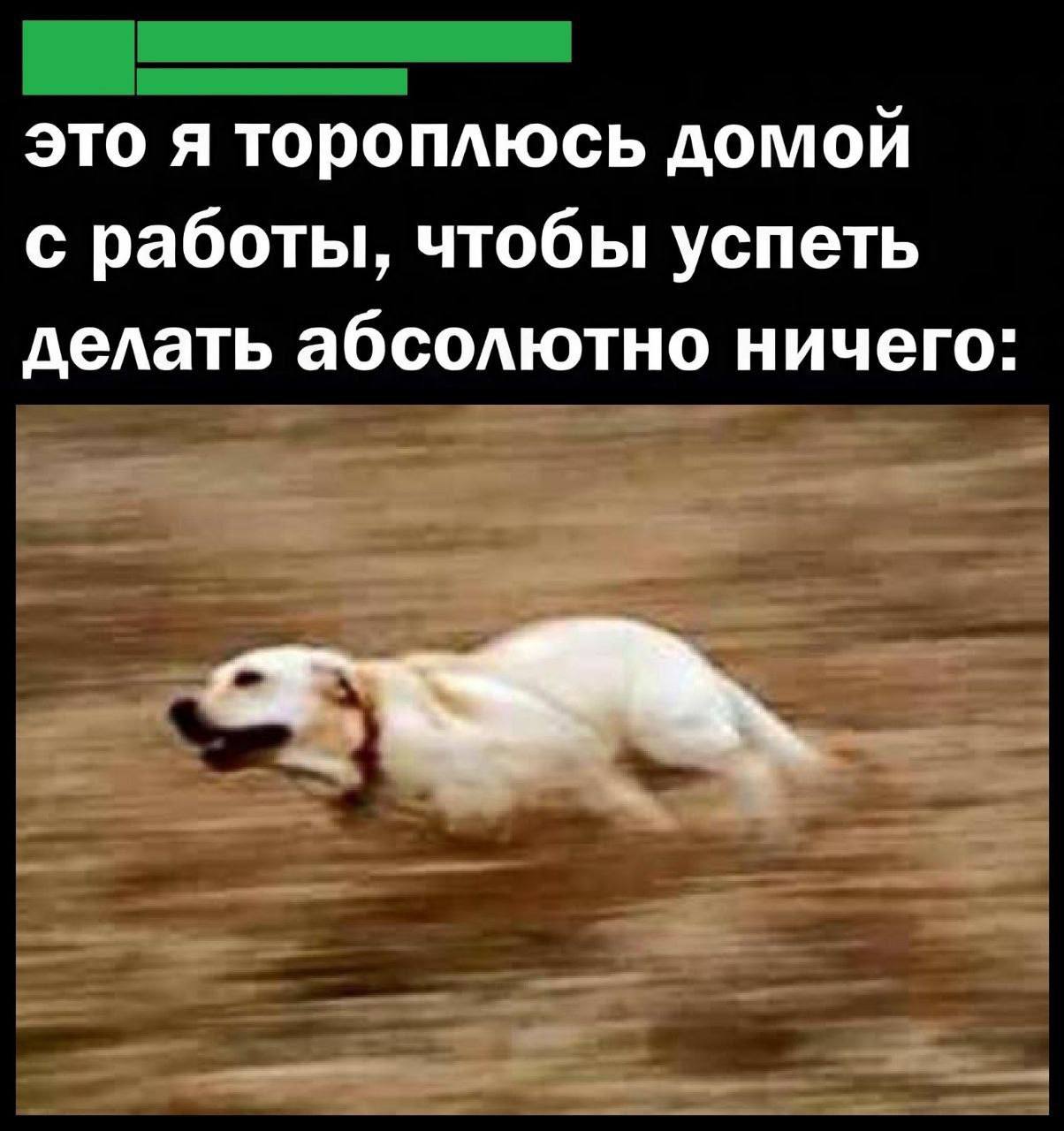 IMG_1876.jpeg