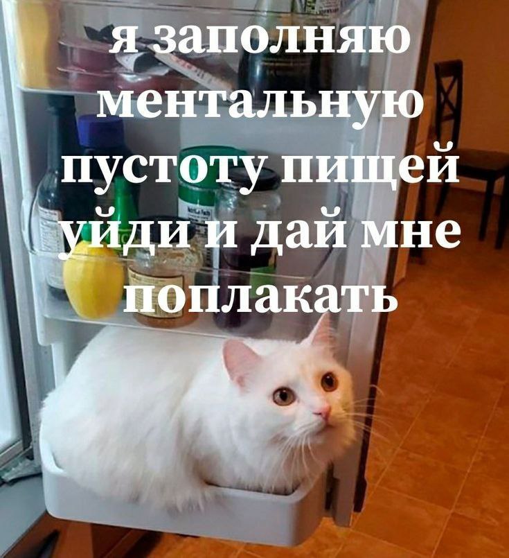 IMG_1877.jpeg