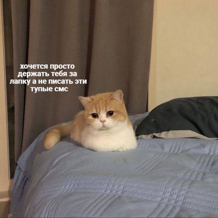 IMG_1884.jpeg