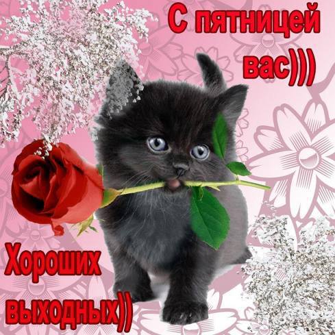 IMG_1885.jpeg