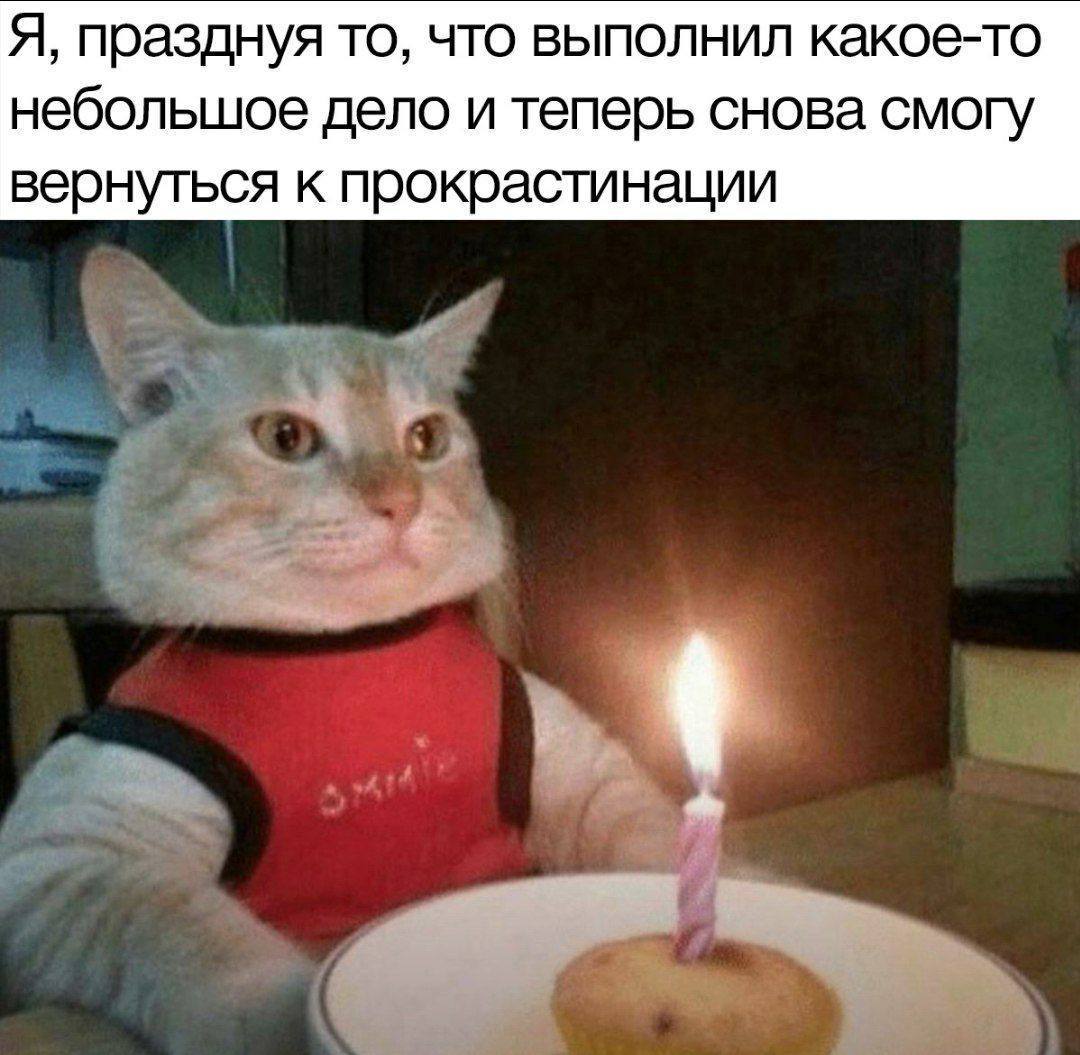 IMG_1889.jpeg