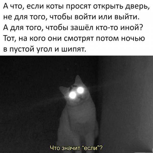 IMG_1896.jpeg