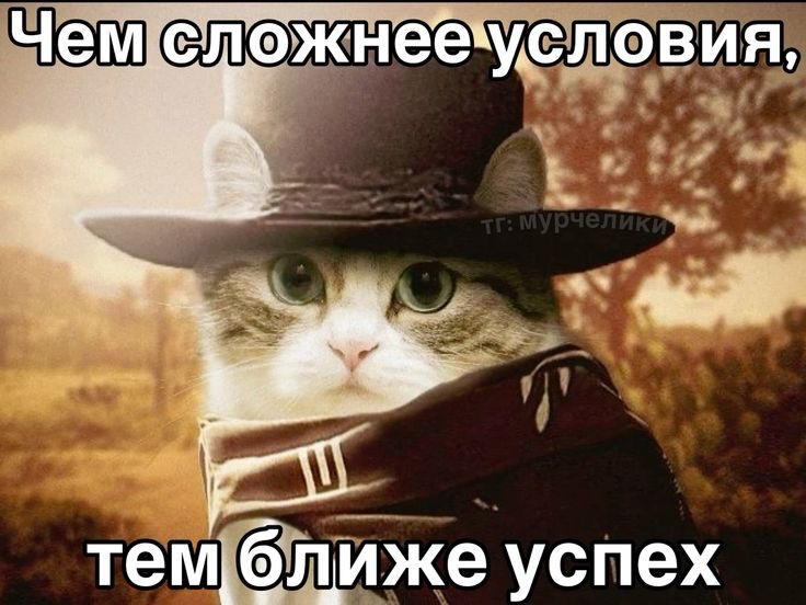 IMG_1900.jpeg