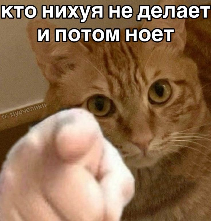 IMG_1912.jpeg