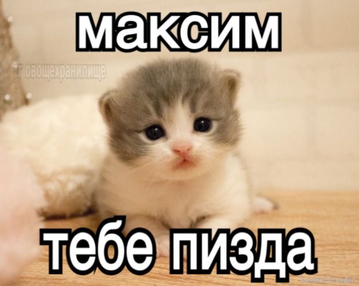 IMG_1915.jpeg