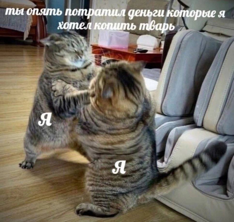 IMG_1917.jpeg