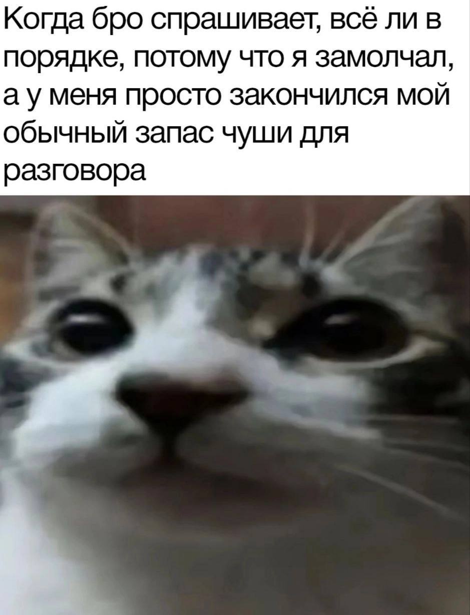 IMG_1922.jpeg
