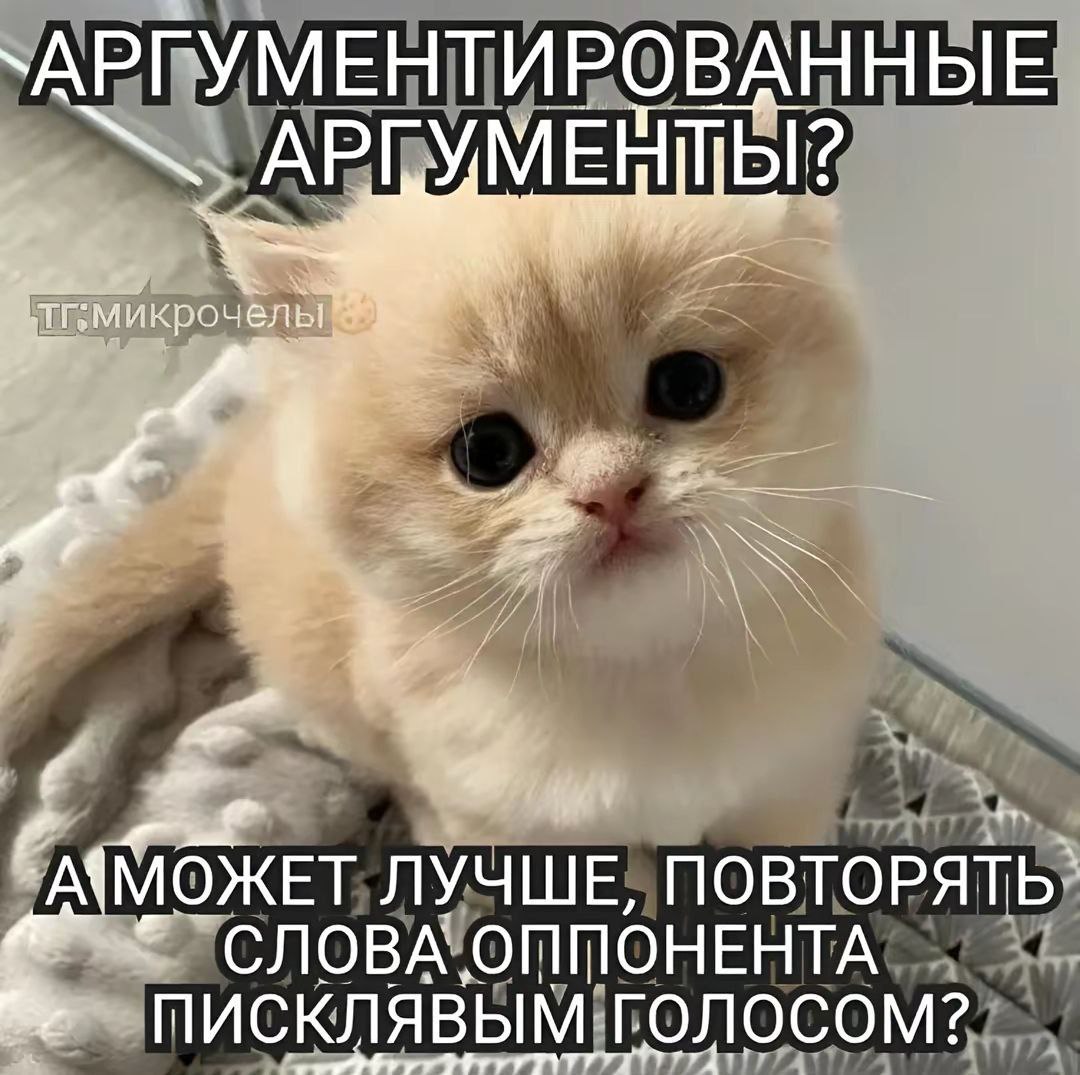 IMG_1924.jpeg