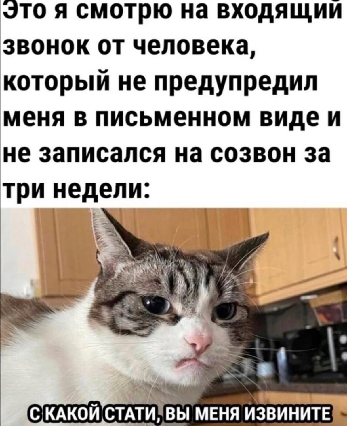 IMG_1930.jpeg