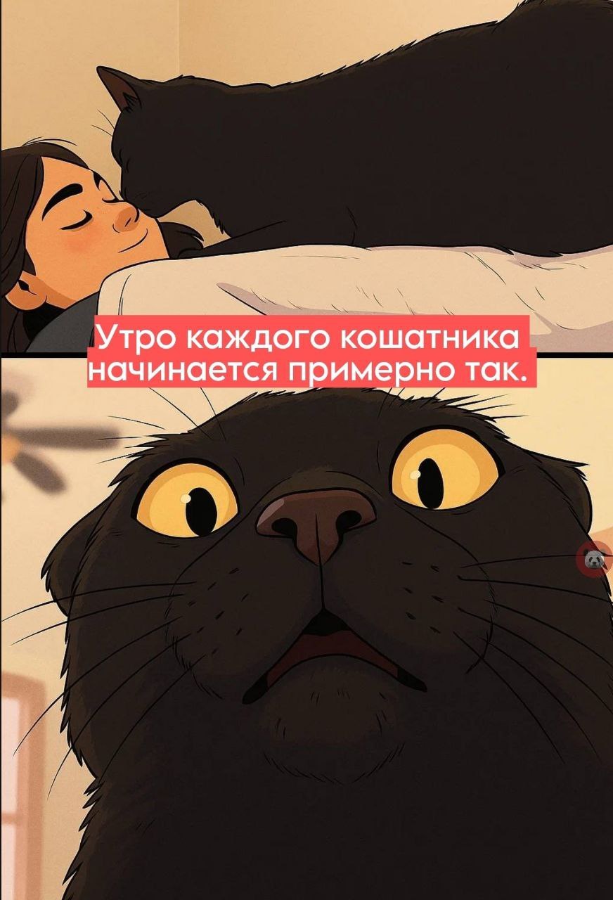 IMG_1958.jpeg
