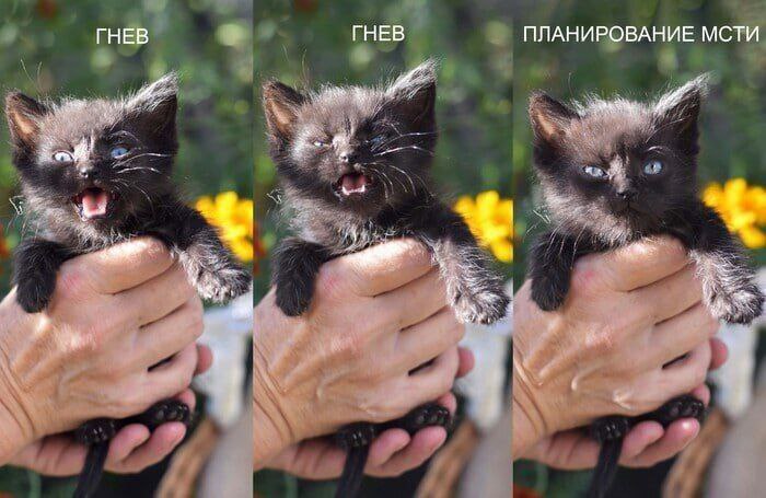 IMG_1985.jpeg