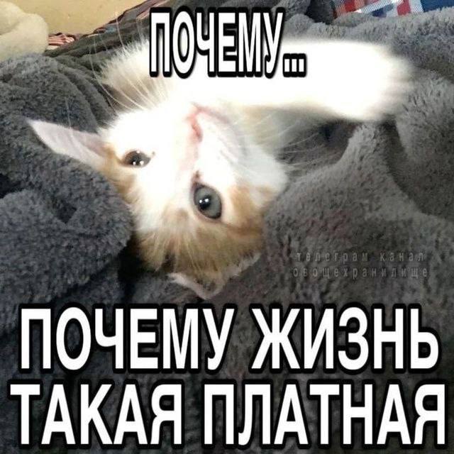 IMG_1993.jpeg