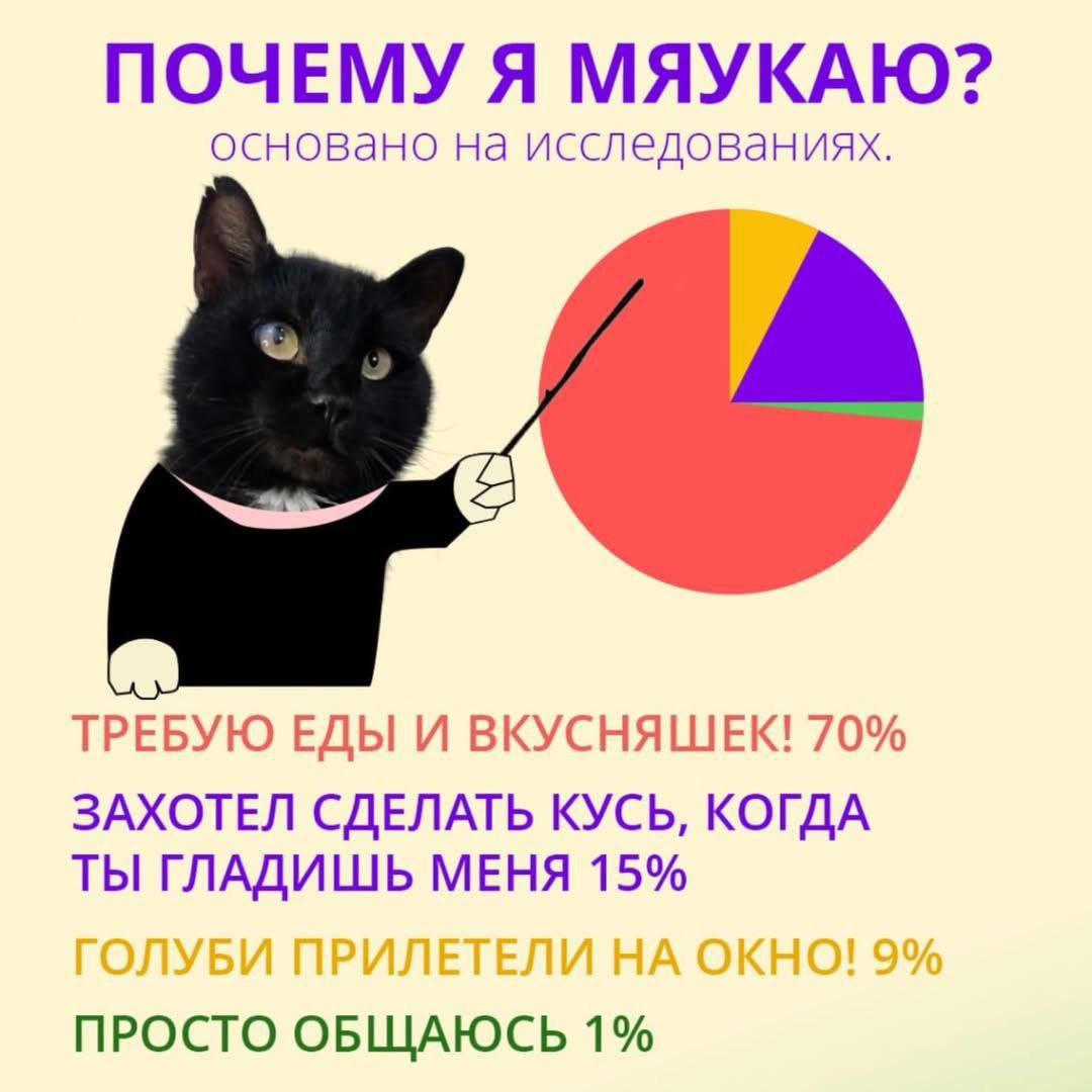 IMG_1994.jpeg