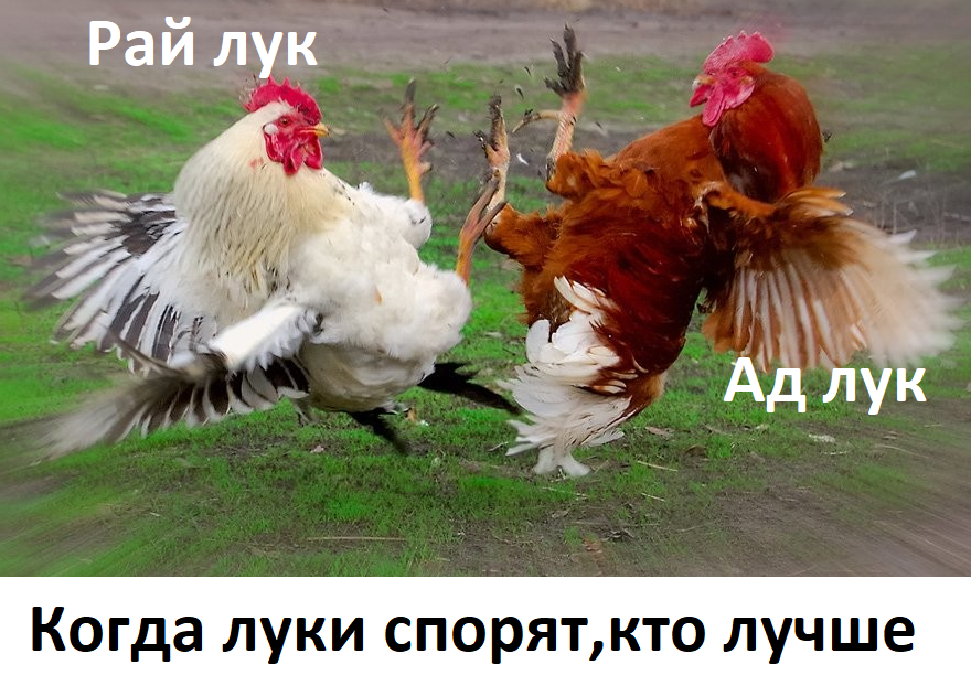 IMG_20220410_111512_943.png