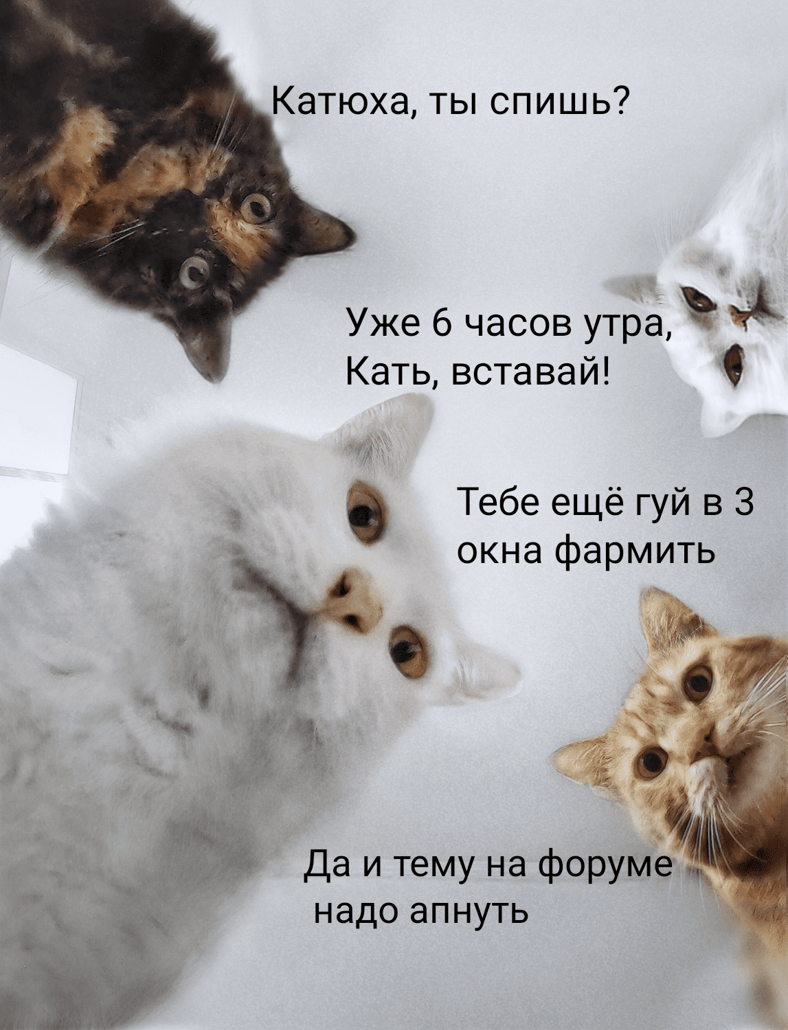 IMG_20220502_030907 (2).png