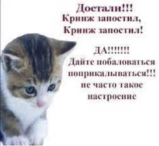 IMG_20240804_153016_105.jpg
