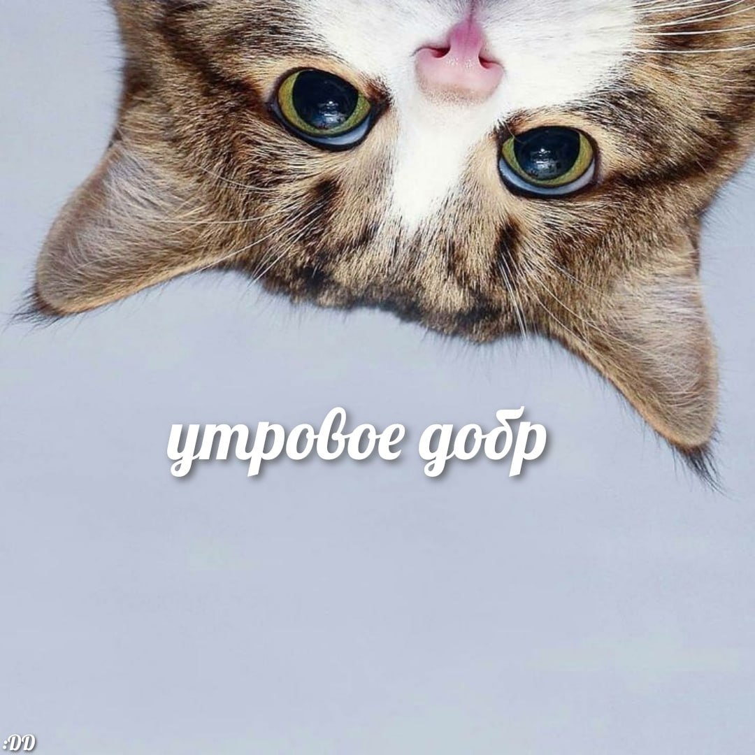 IMG_20240816_163724_391.jpg