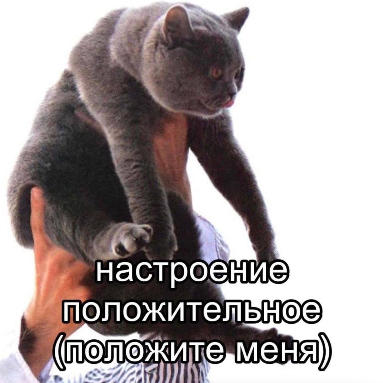 IMG_20240829_194256_395.jpg