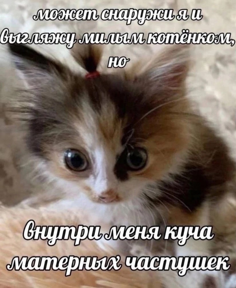 IMG_20240912_164752_423.jpg