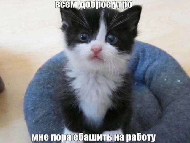 IMG_20241015_074217_775.jpg