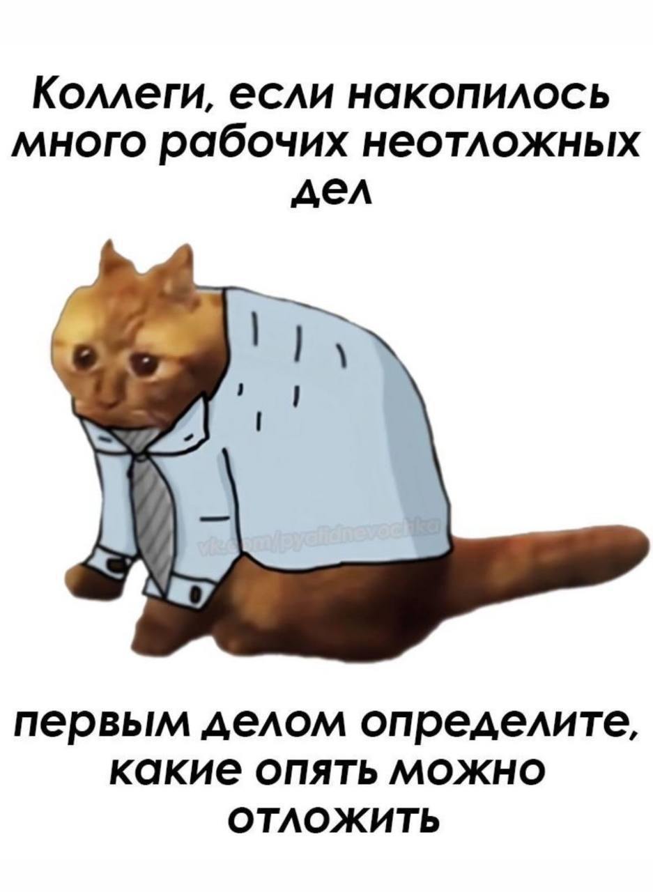IMG_20241117_152340_163.jpg