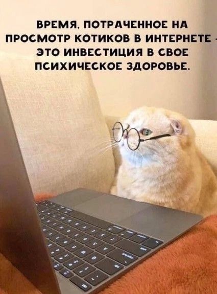 IMG_20250103_215316_333.jpg
