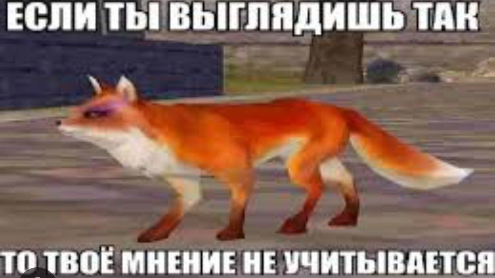 IMG_20250214_201318_134.jpg
