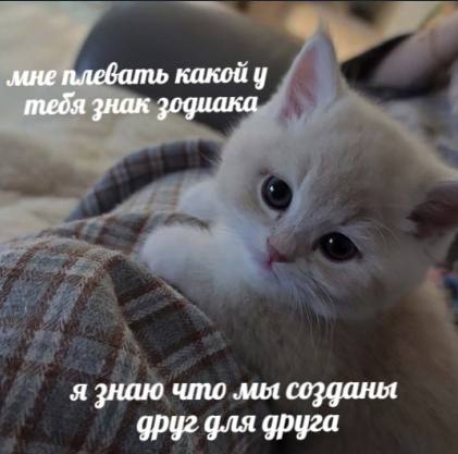 IMG_20250321_213344_975.jpg