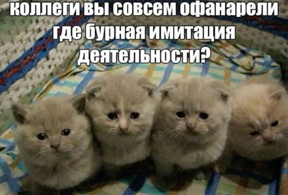 IMG_20250425_162928.jpg