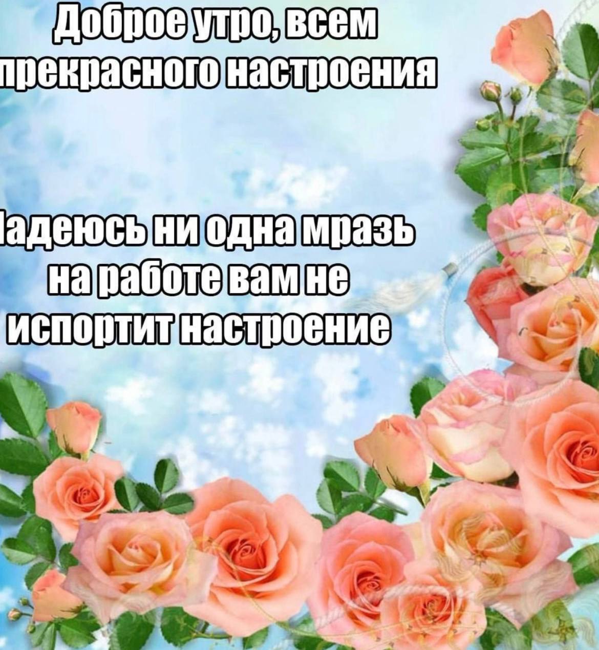 IMG_20250515_094000_291.jpg