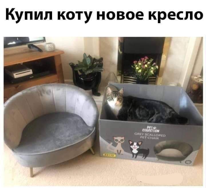 IMG_2031.jpeg