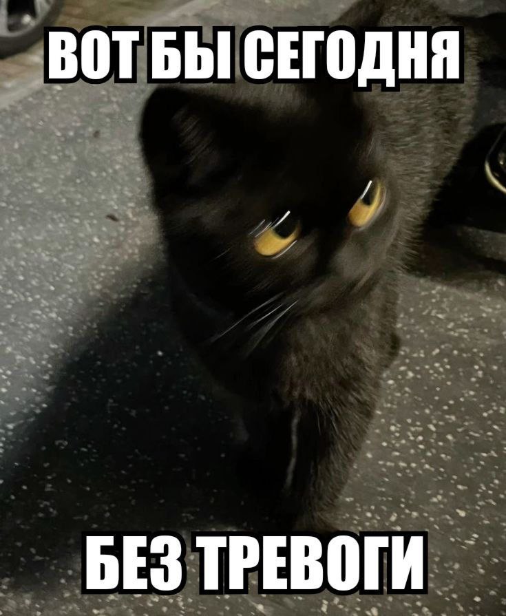 IMG_2051.jpeg
