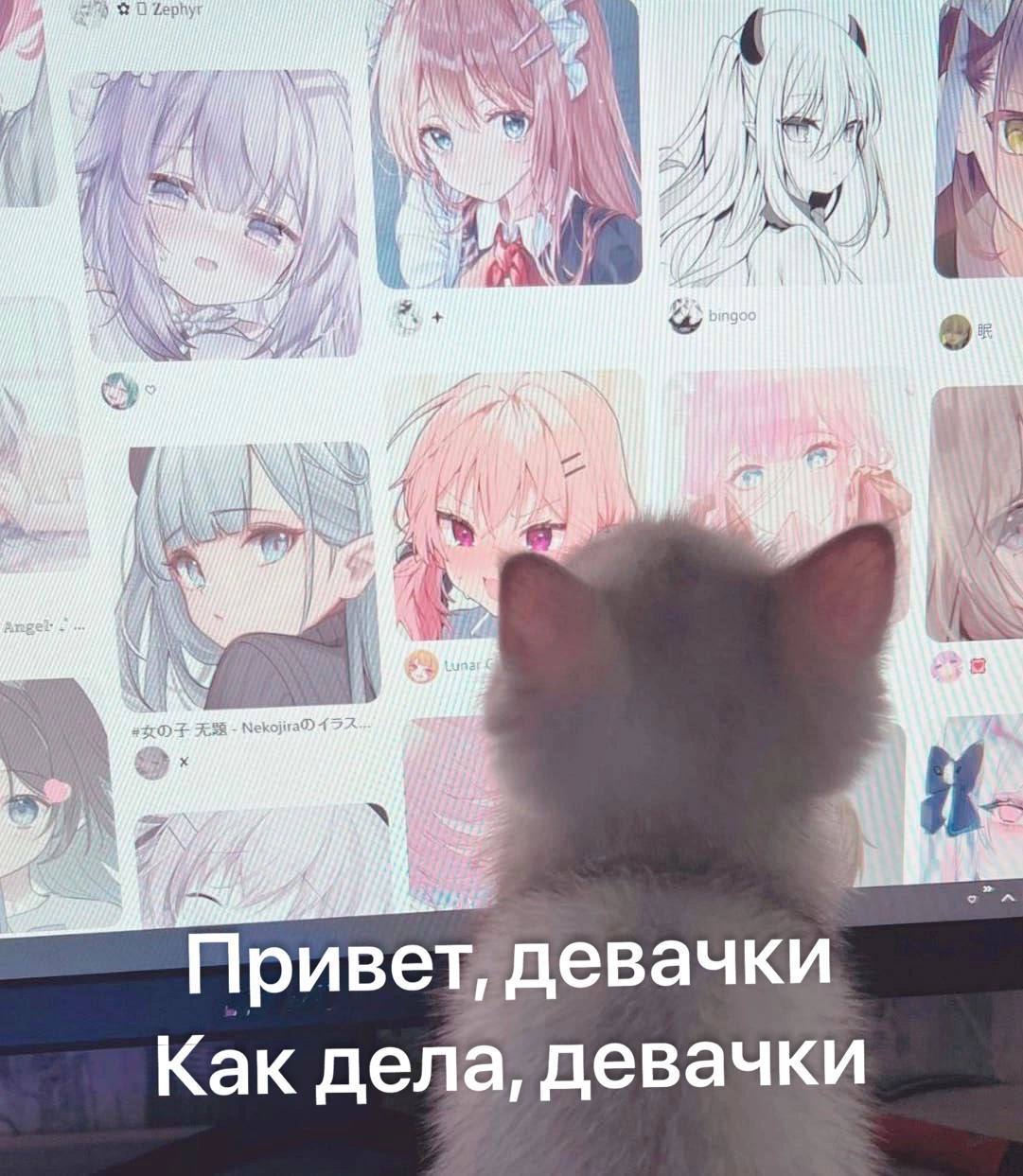 IMG_2079.jpeg