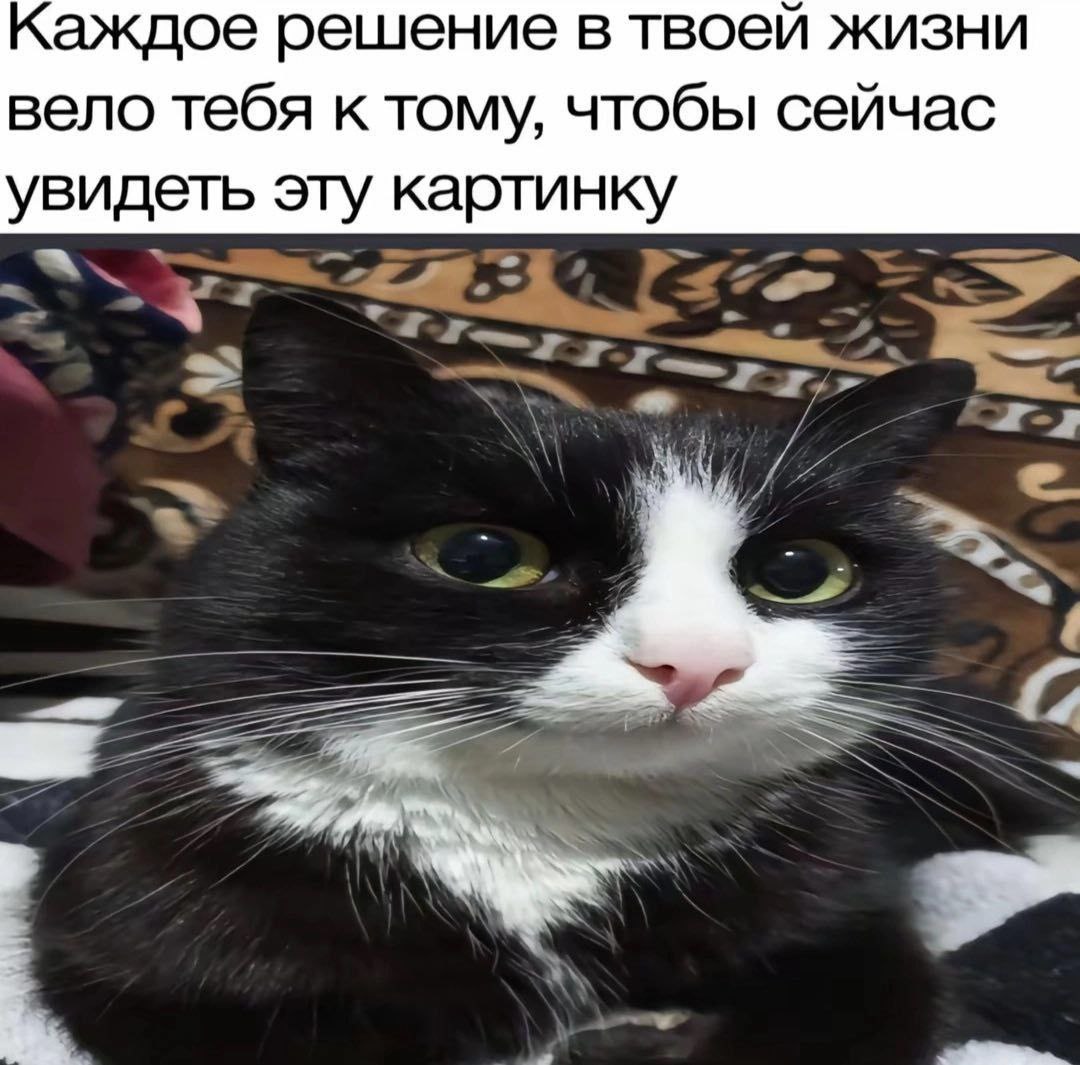 IMG_2109.jpeg